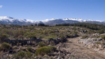 Sierra de Gredos desde la Veredilla