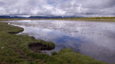 Laguna de Canta el Gallo (Hoyos del Espino)