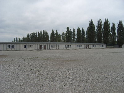 SNV80254.JPG