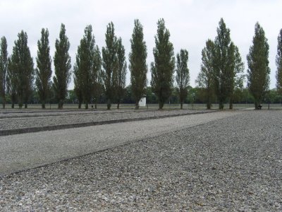 SNV80274.JPG