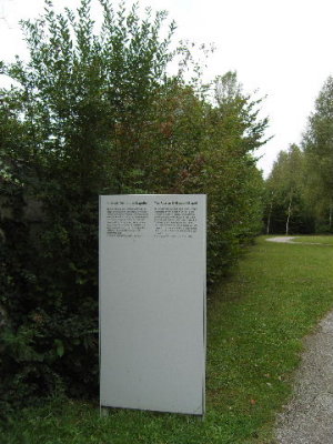 SNV80293.JPG