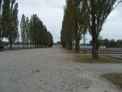 SNV80296.JPG