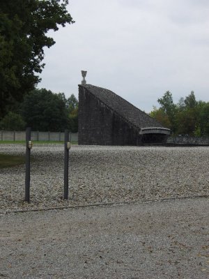 SNV80300.JPG
