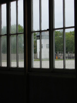 SNV80303.JPG
