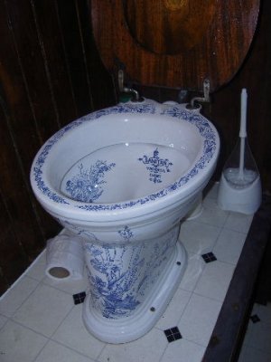 Posh loo!