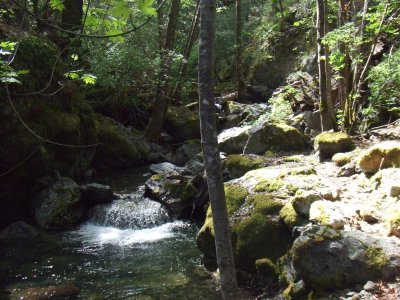  The Creek