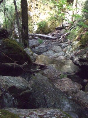  The Creek