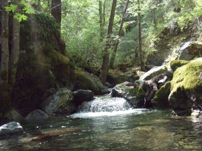  The Creek