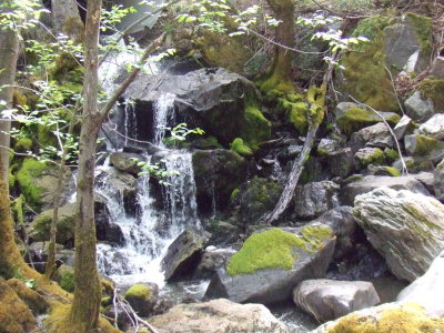  The Creek