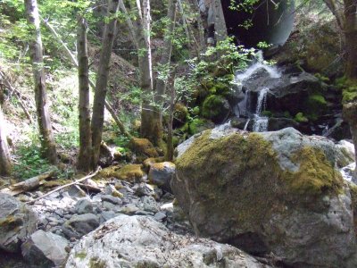  The Creek