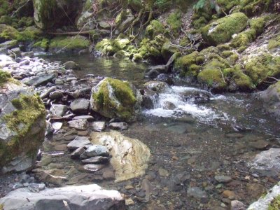  The Creek