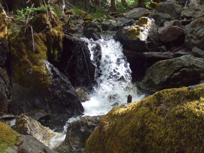  The Creek
