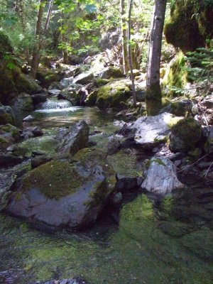  The Creek