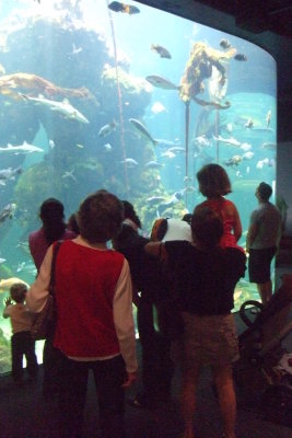 Aquarium