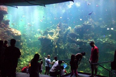 Aquarium