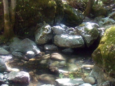  The Creek