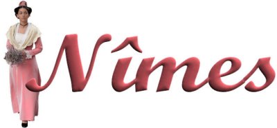 Nimes logo.jpg