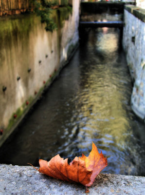Its Autumn in rue des Teinturiers (Dyers Street)