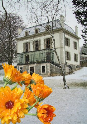 A small bunch of flowers to brighten up the local  Academy of Music