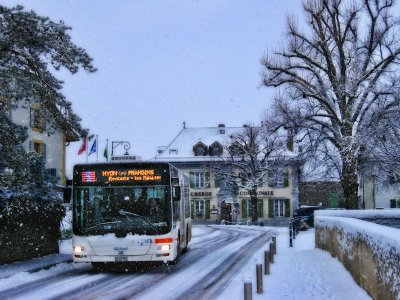 Morning bus...