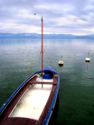 g1/82/62182/3/110579266.83SYHlR0.jpg