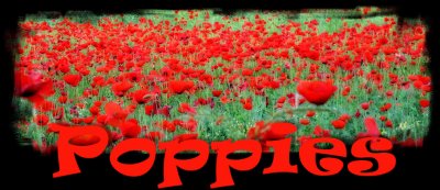 poppies logo