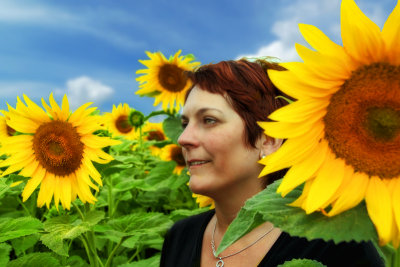 Sunflowers 60