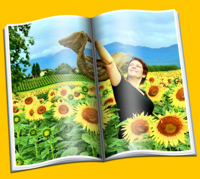 Sunflowers 65