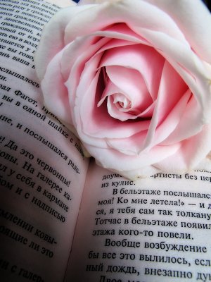 The rose who spoke Russian....
