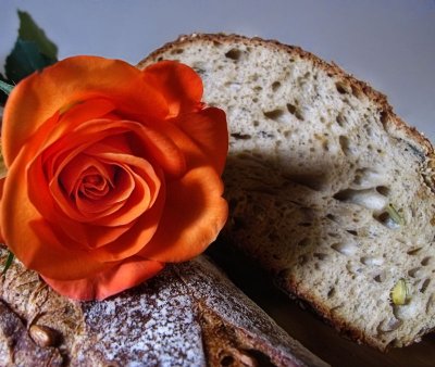 The day of bread and roses...