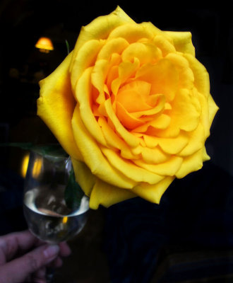Drinkable rose...