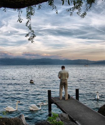 The man who fed swans at sunset...