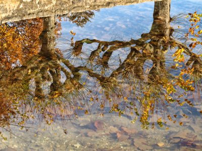 Autumn reflections...