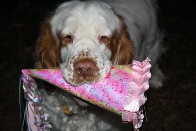 Happy 3rd Birthday, Gracie