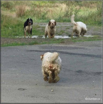 2012 09 23 Helen comehere is great muddy .jpg
