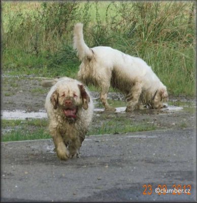 2012 09 23 Little Helen and Corbyn.jpg