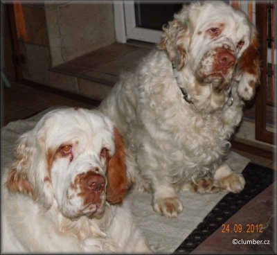 2012 09 24 Corbyn and Little Helen.jpg