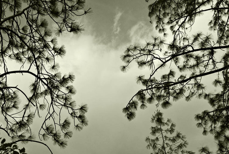 Reaching Out