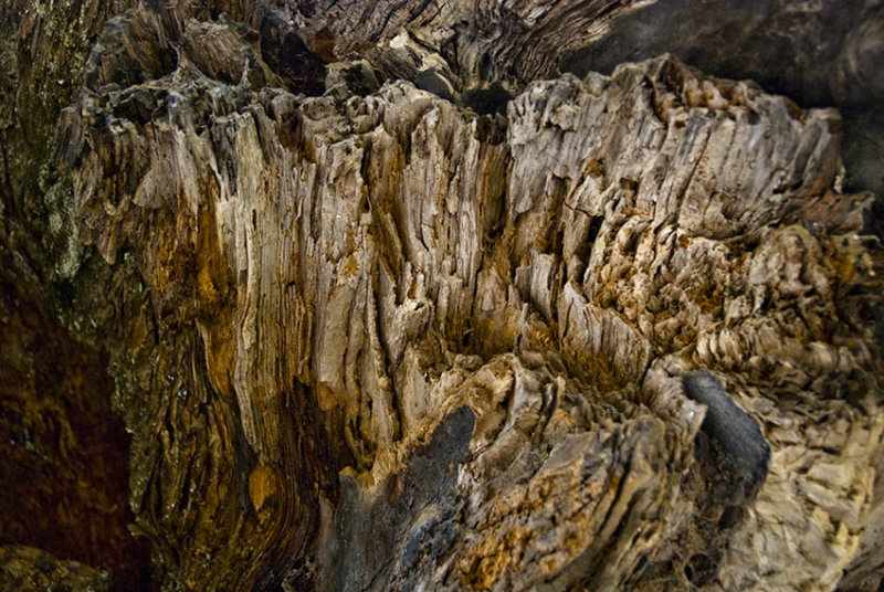 Sequoia Canyon