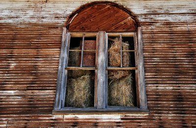  Holy Hay