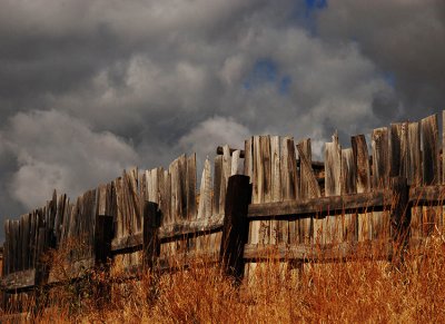 Fenced In