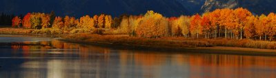  Reflections of Autumn