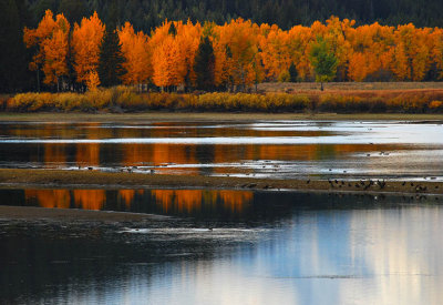  Reflections of Autumn