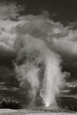 Old Faithful
