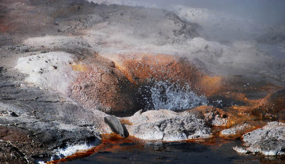 Steady Geyser