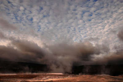 Nature's Drama