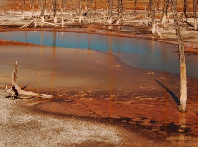  Opalescent Pool
