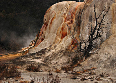  Mammoth Hot Springs
