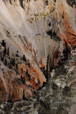  Artist's Point,  Grand Canyon of the Yellowstone 