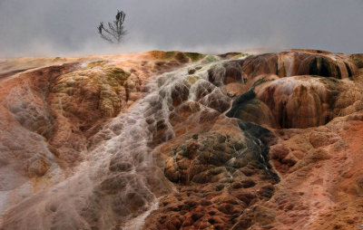 Mammoth Hot Springs Terraces